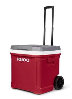 IGLOO Latitude 57L Wheeled Cool Box 14 IGLOO Latitude 57L Wheeled Cool Box -Outdoor Camping Store k15850b767a47e99f2f34fba44f09c39f