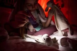 Ledlenser KidBEAM4 LED Hand Torch (Purple) -Outdoor Camping Store k59e29570618b7729d370bdca435a3048